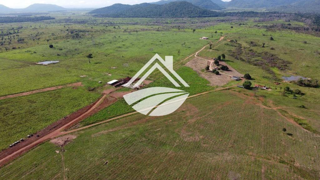 Fazenda, 2478 m² - Foto 3