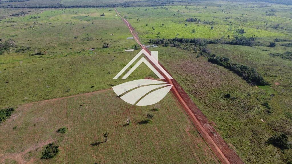 Fazenda, 2478 m² - Foto 6
