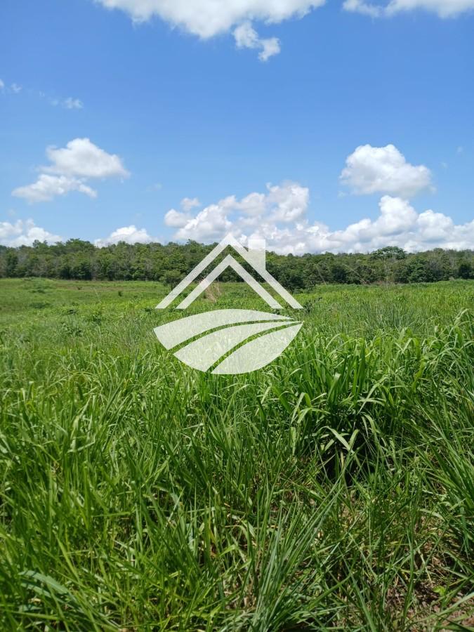 Fazenda, 1084 m² - Foto 1
