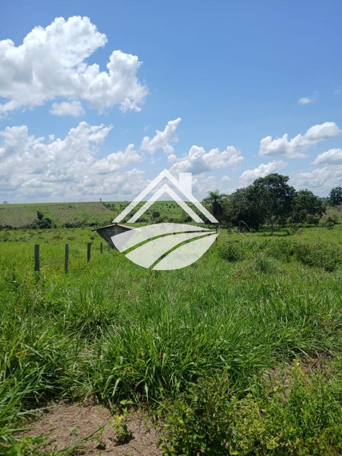 Fazenda, 1084 m² - Foto 5