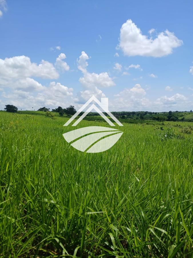 Fazenda, 1084 m² - Foto 6