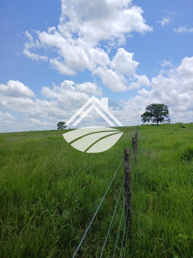 Fazenda, 1084 m² - Foto 8