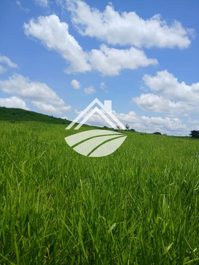 Fazenda, 1084 m² - Foto 9