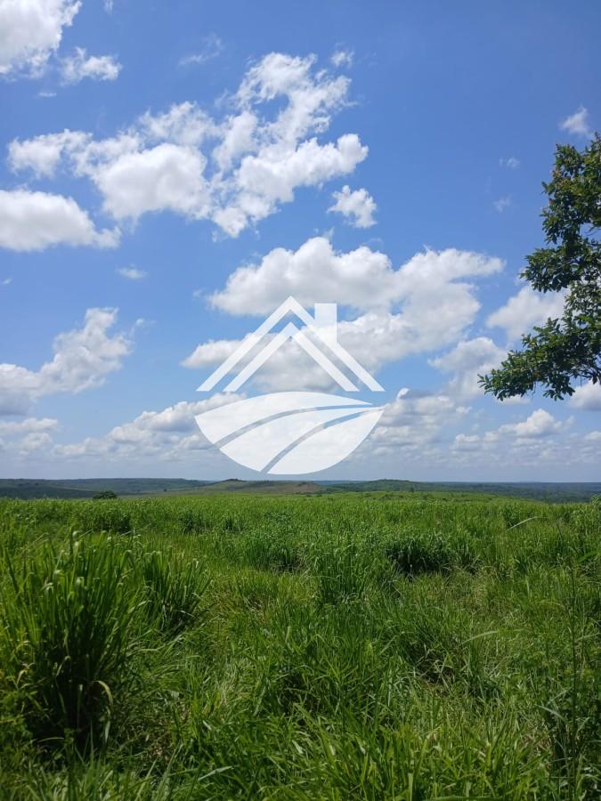 Fazenda, 1084 m² - Foto 10