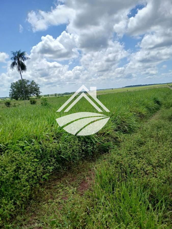 Fazenda, 1084 m² - Foto 14