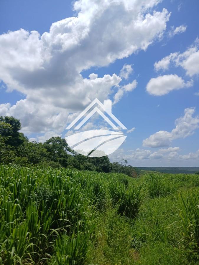 Fazenda, 1084 m² - Foto 17