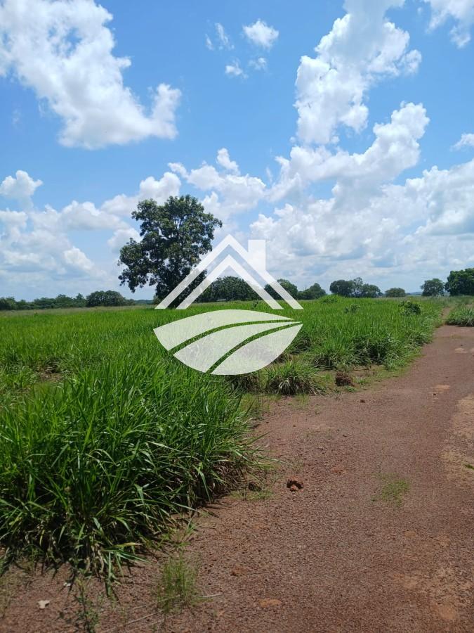 Fazenda, 1084 m² - Foto 20