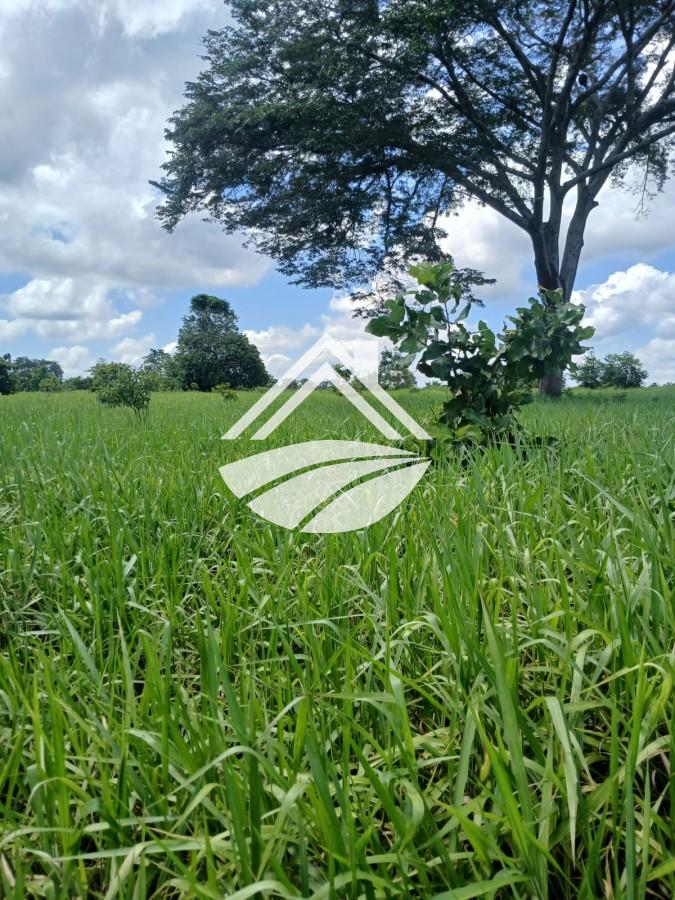 Fazenda, 1084 m² - Foto 21