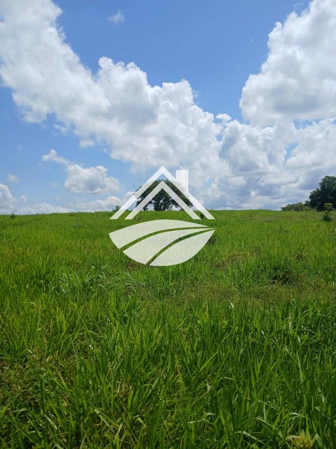 Fazenda, 1084 m² - Foto 23