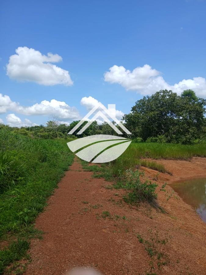 Fazenda, 1084 m² - Foto 27