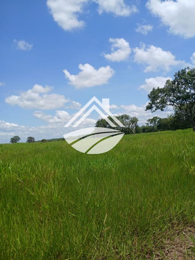 Fazenda, 1084 m² - Foto 26