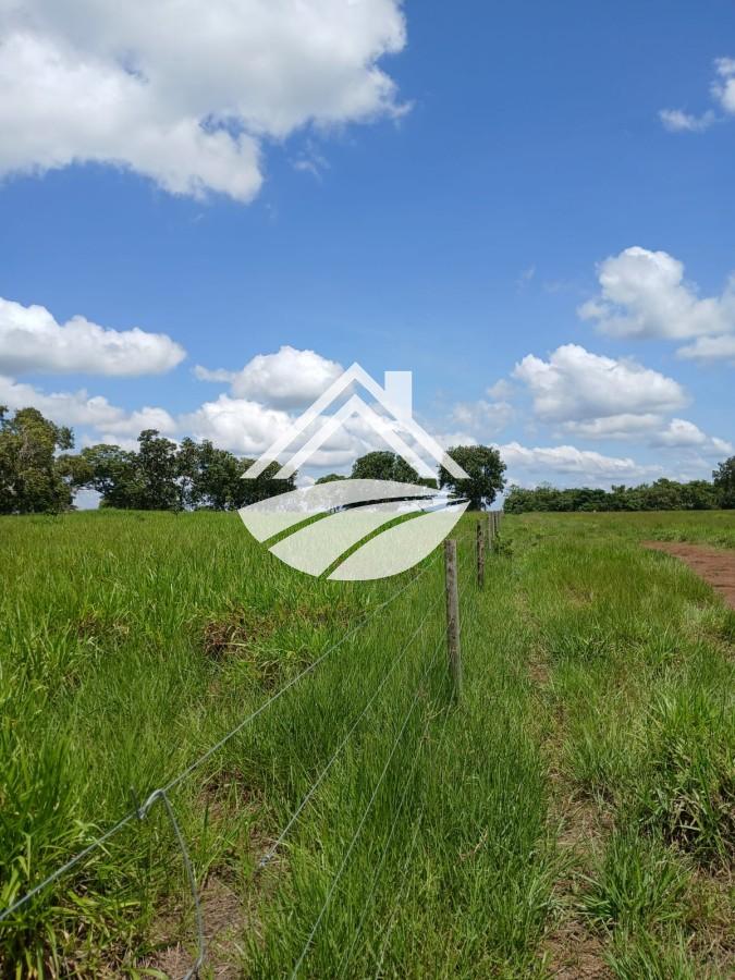 Fazenda, 1084 m² - Foto 29