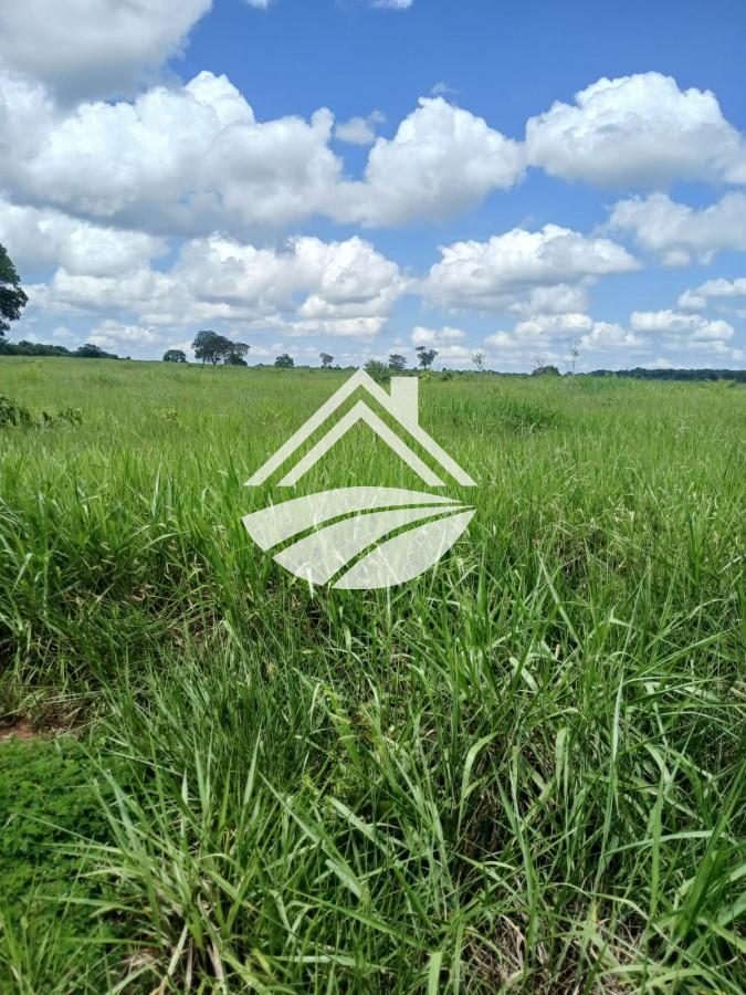 Fazenda, 1084 m² - Foto 30