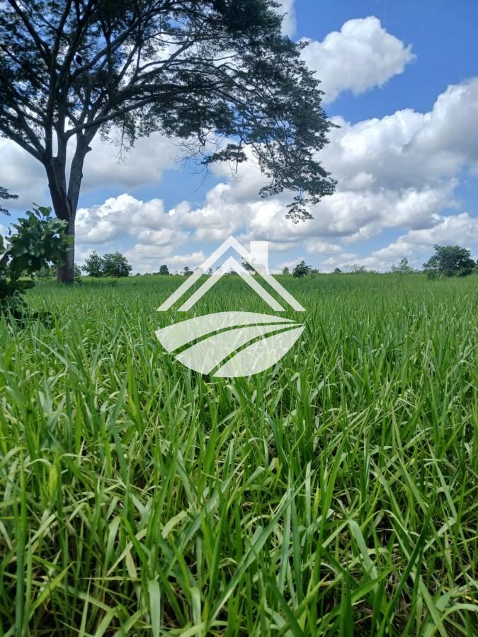 Fazenda, 1084 m² - Foto 31