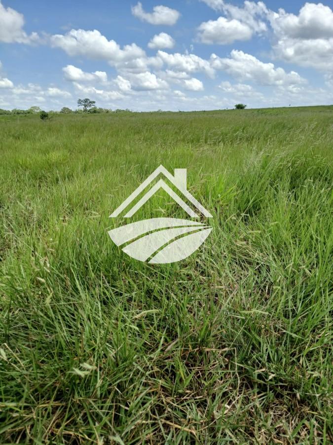 Fazenda, 1084 m² - Foto 33