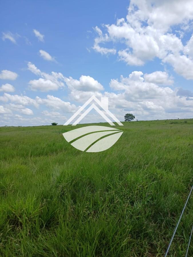 Fazenda, 1084 m² - Foto 34