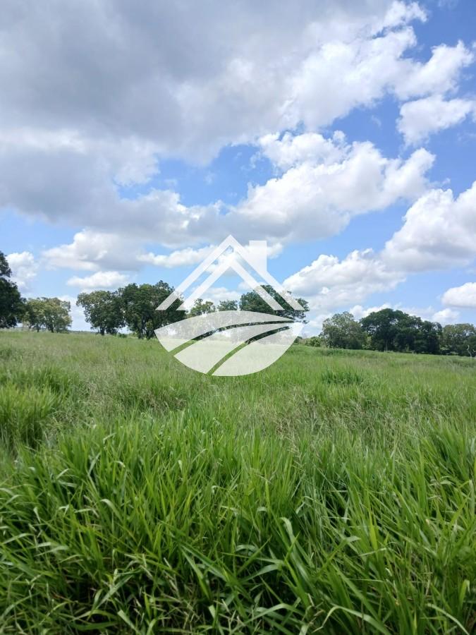 Fazenda, 1084 m² - Foto 32