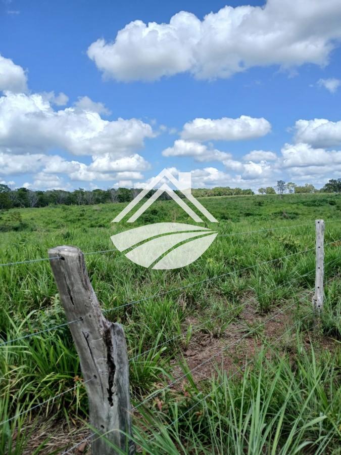 Fazenda, 1084 m² - Foto 35