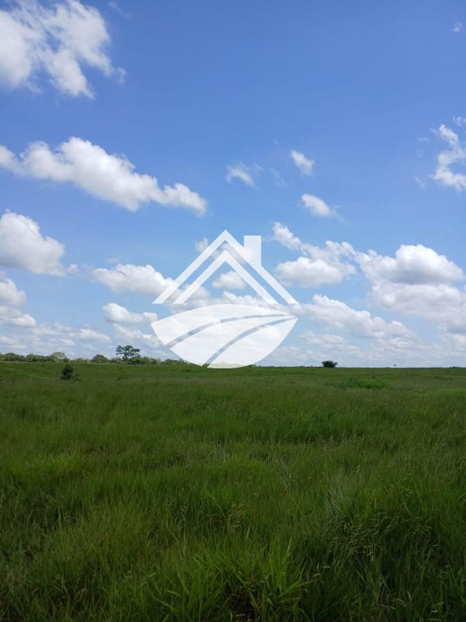 Fazenda, 1084 m² - Foto 36