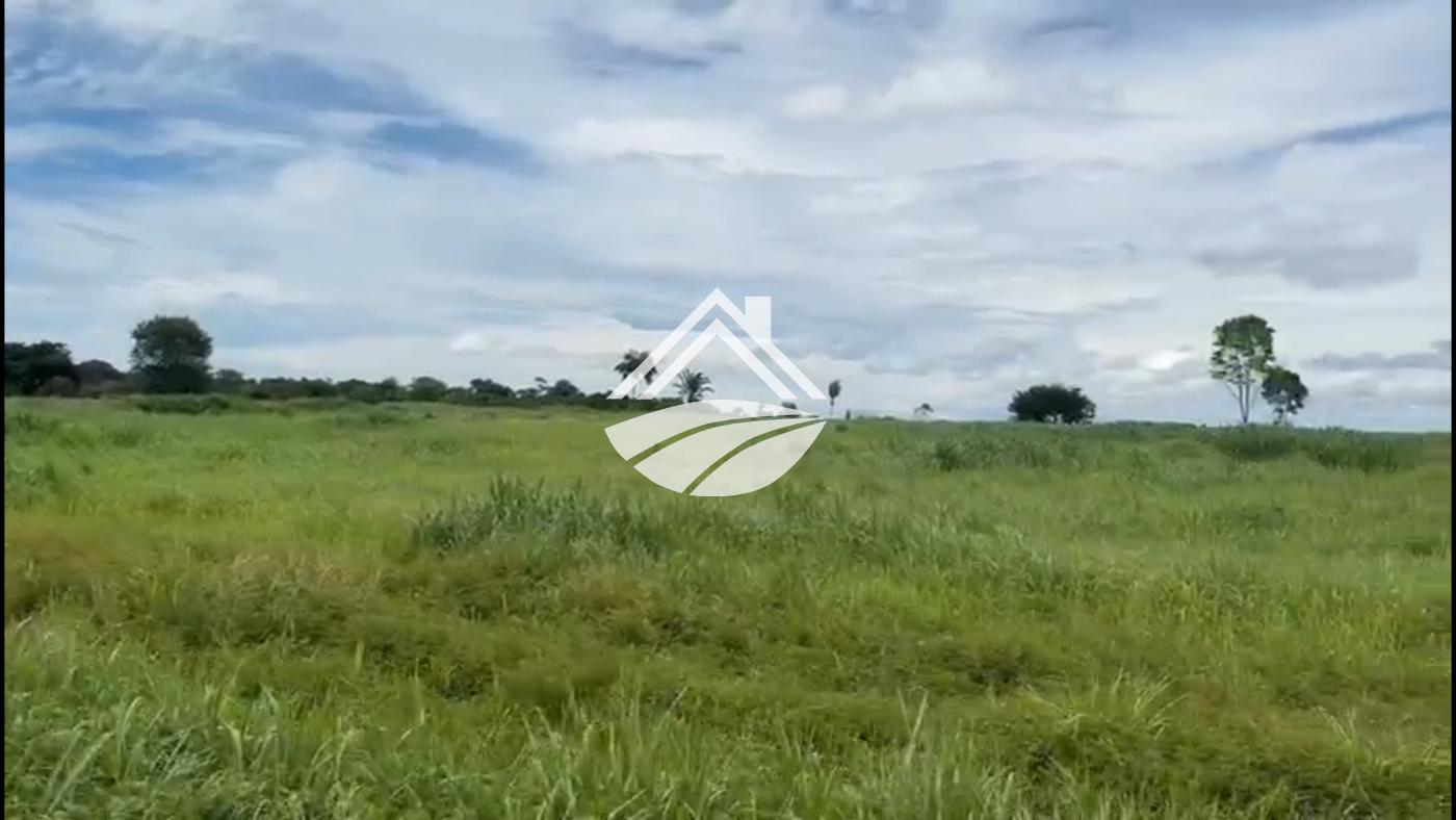 Fazenda, 2226 m² - Foto 3