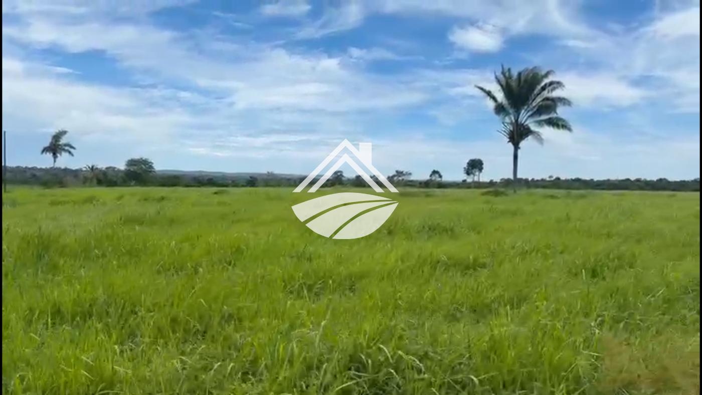 Fazenda, 2226 m² - Foto 4