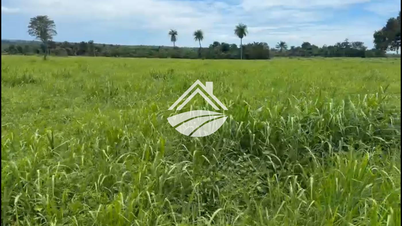 Fazenda, 2226 m² - Foto 6