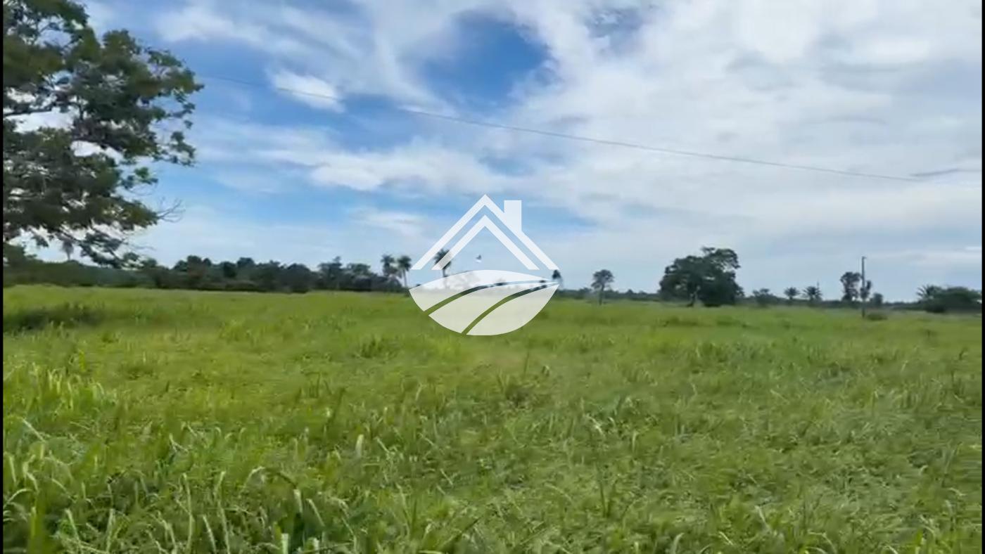 Fazenda, 2226 m² - Foto 7