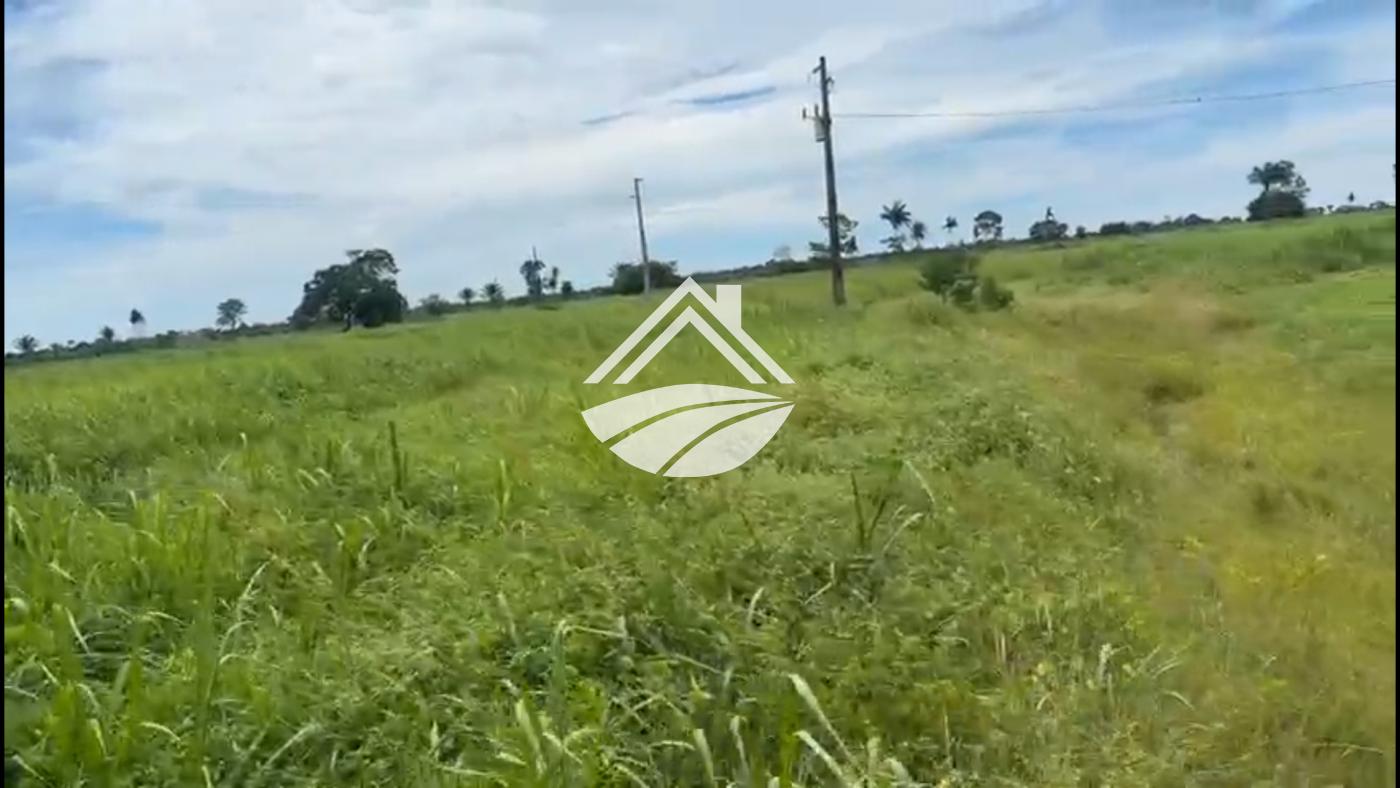Fazenda, 2226 m² - Foto 8