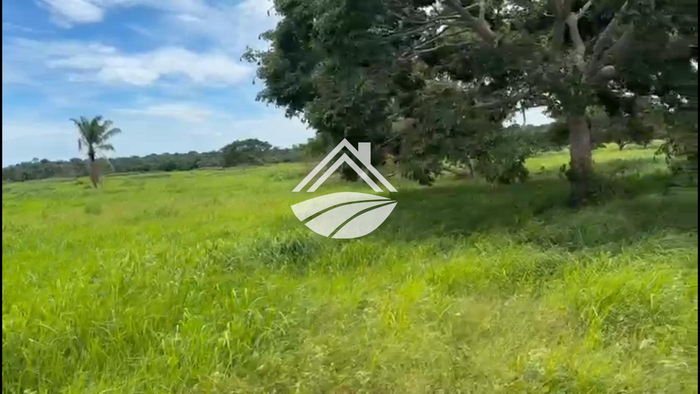 Fazenda, 2226 m² - Foto 9