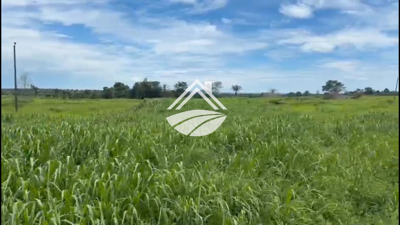 Fazenda, 2226 m² - Foto 11