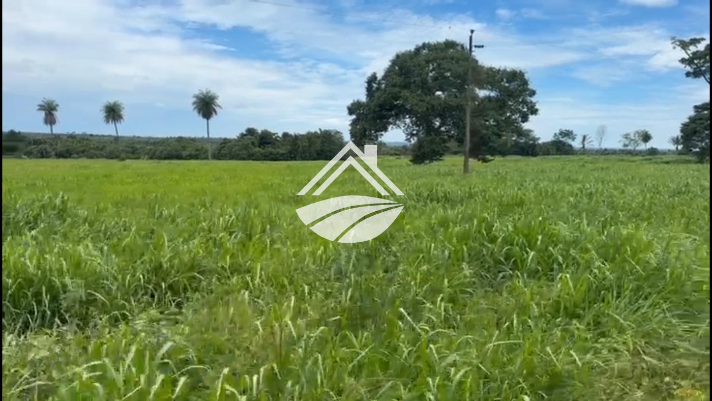 Fazenda, 2226 m² - Foto 13