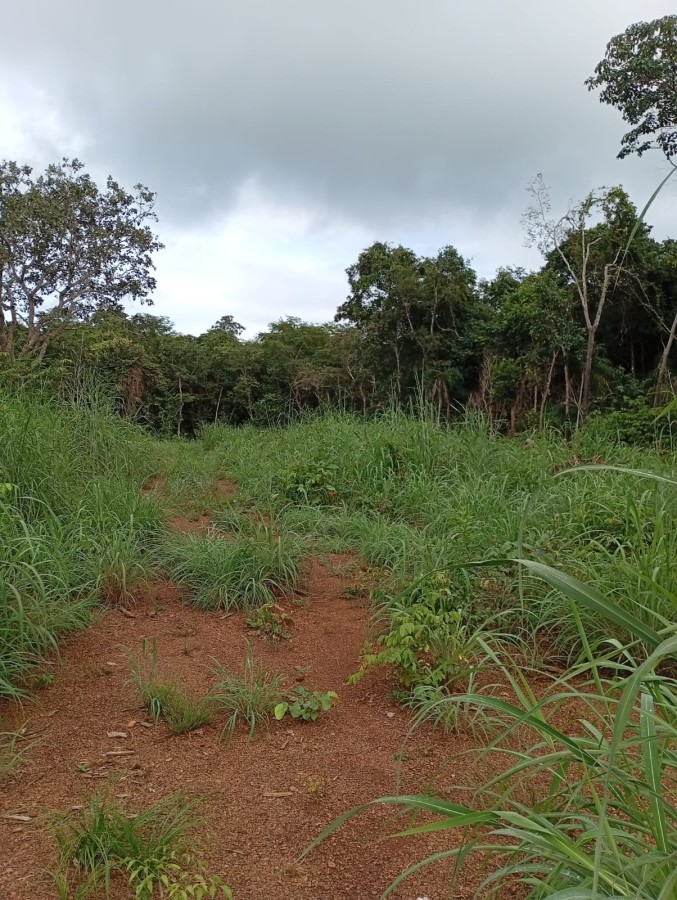 Fazenda, 164 hectares - Foto 34