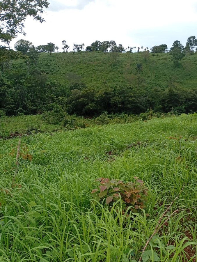 Fazenda, 164 hectares - Foto 35