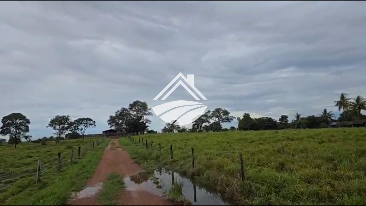 Fazenda, 2545 m² - Foto 2