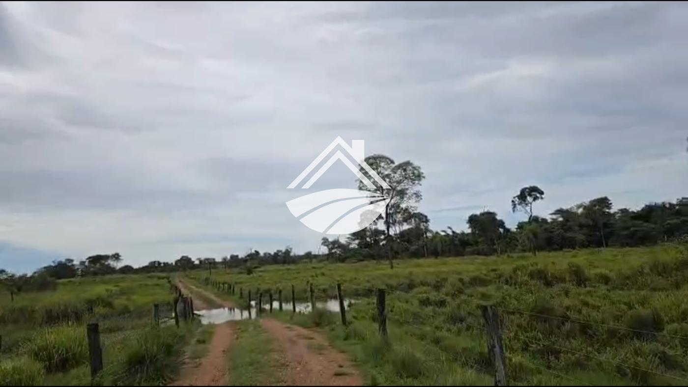 Fazenda, 2545 m² - Foto 3