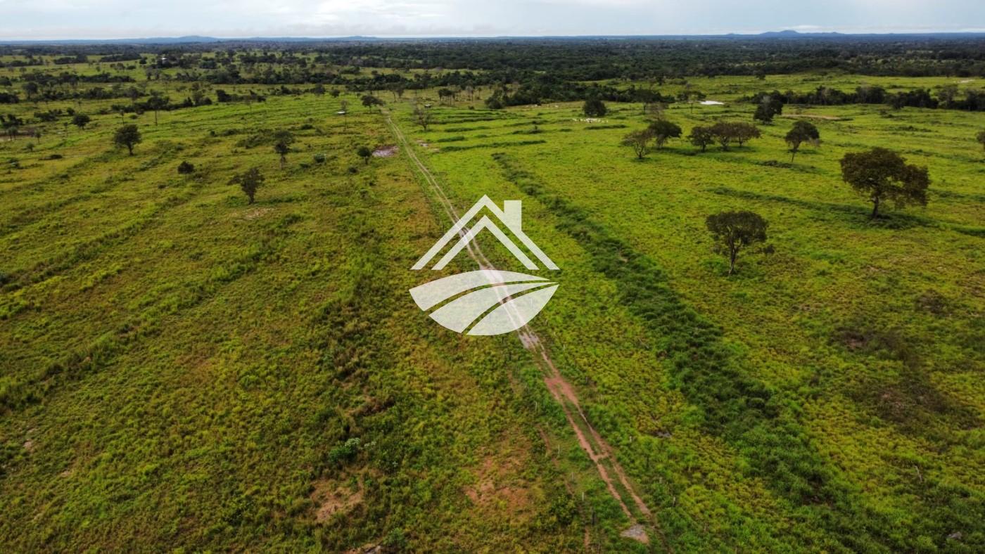 Fazenda, 2545 m² - Foto 7