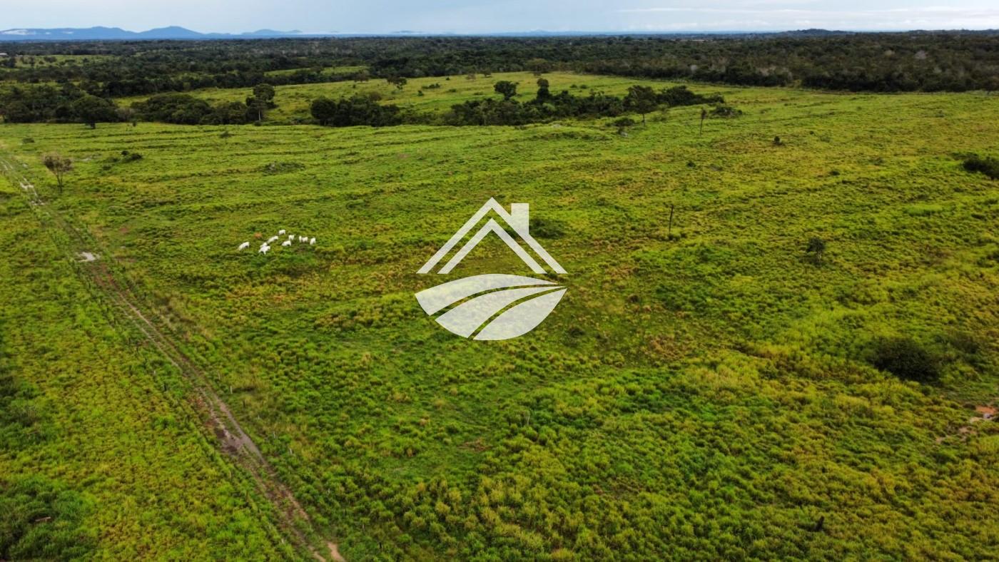 Fazenda, 2545 m² - Foto 1