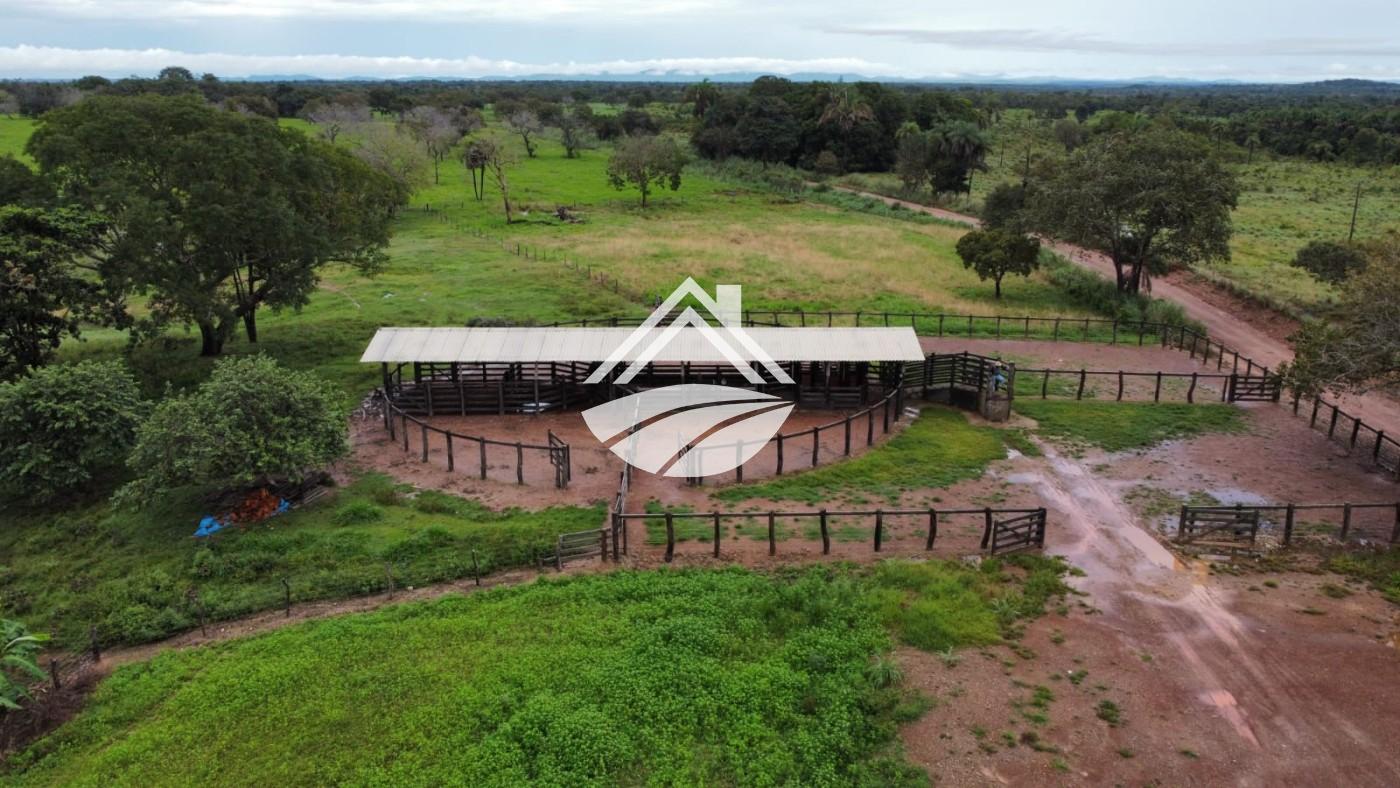 Fazenda, 2545 m² - Foto 12