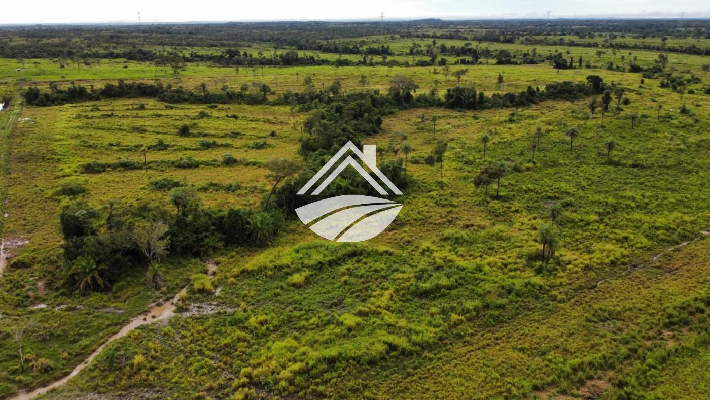 Fazenda, 2545 m² - Foto 11