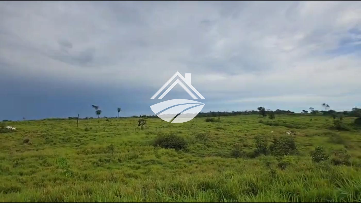 Fazenda, 2545 m² - Foto 13