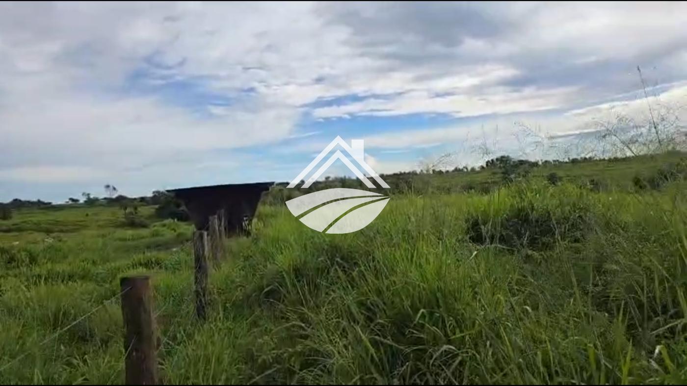 Fazenda, 2545 m² - Foto 14