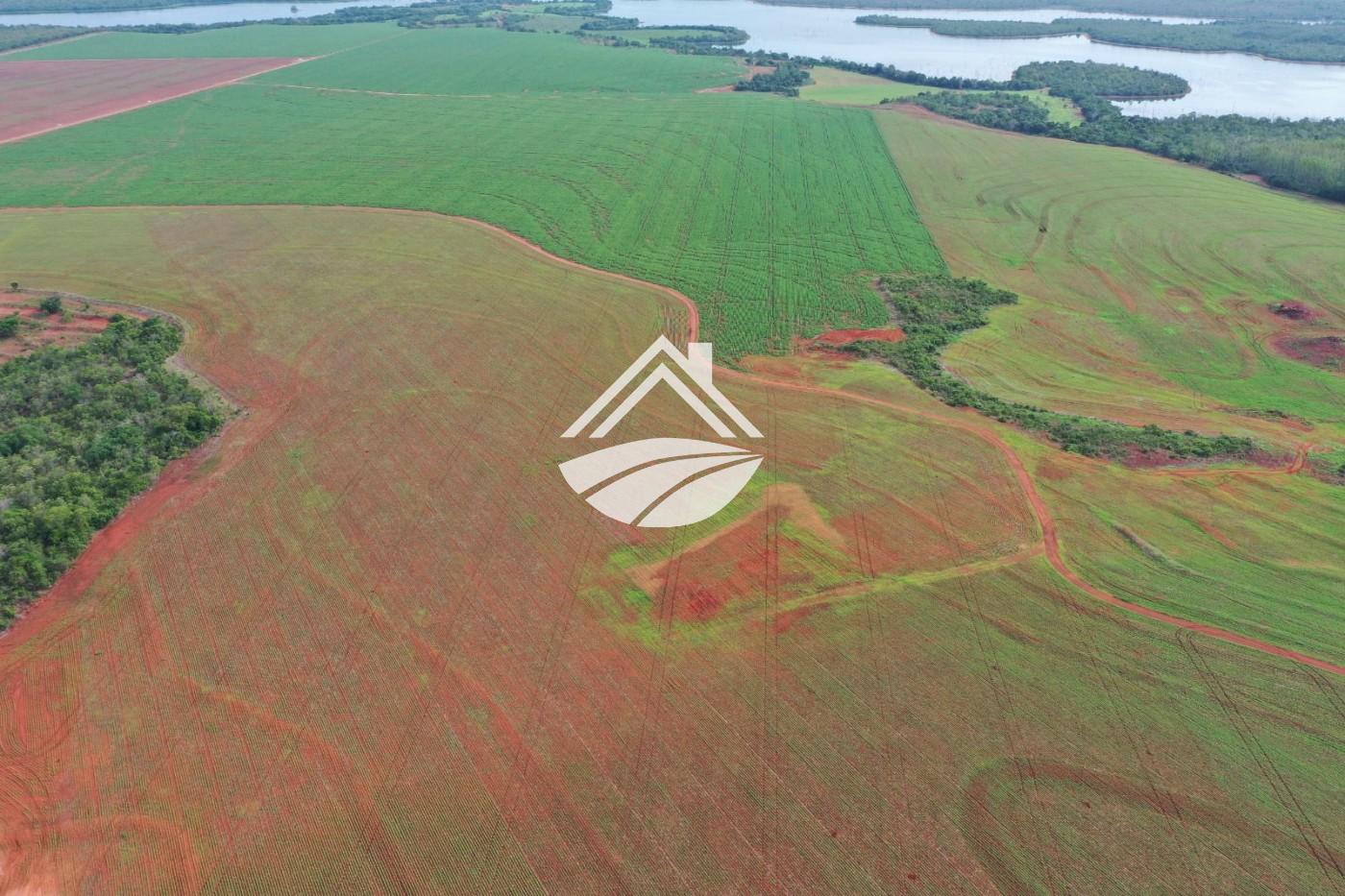 Fazenda, 1035 m² - Foto 6