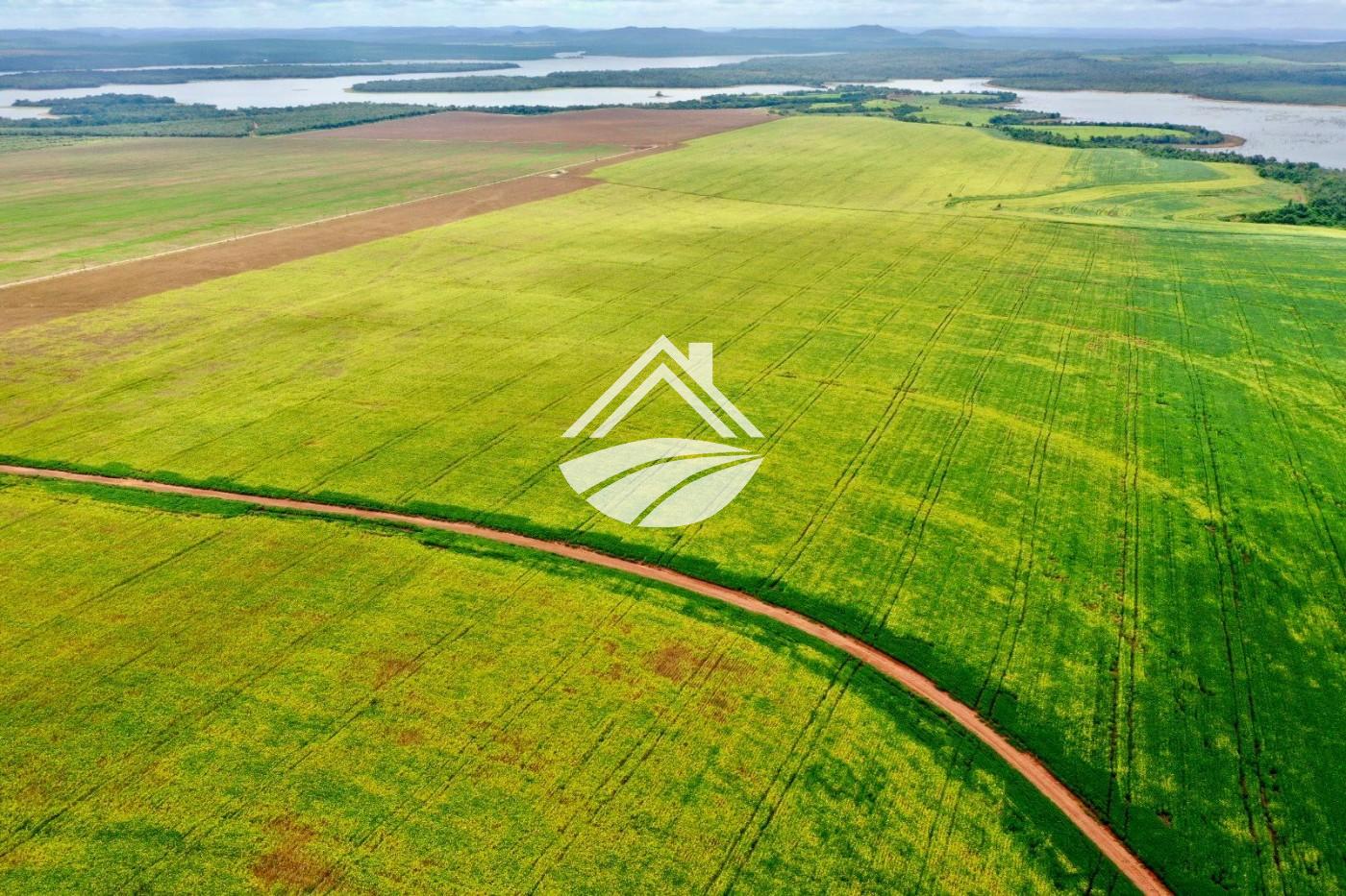 Fazenda, 1035 m² - Foto 8