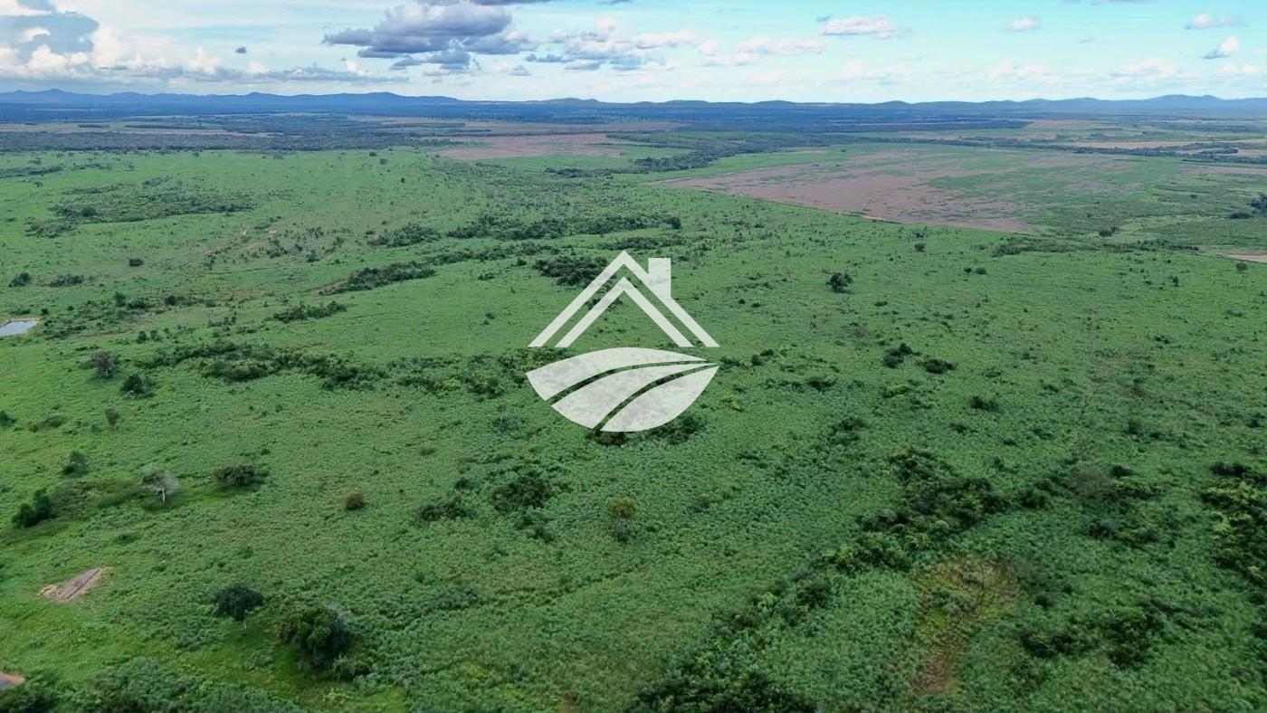 Fazenda, 1316 m² - Foto 6