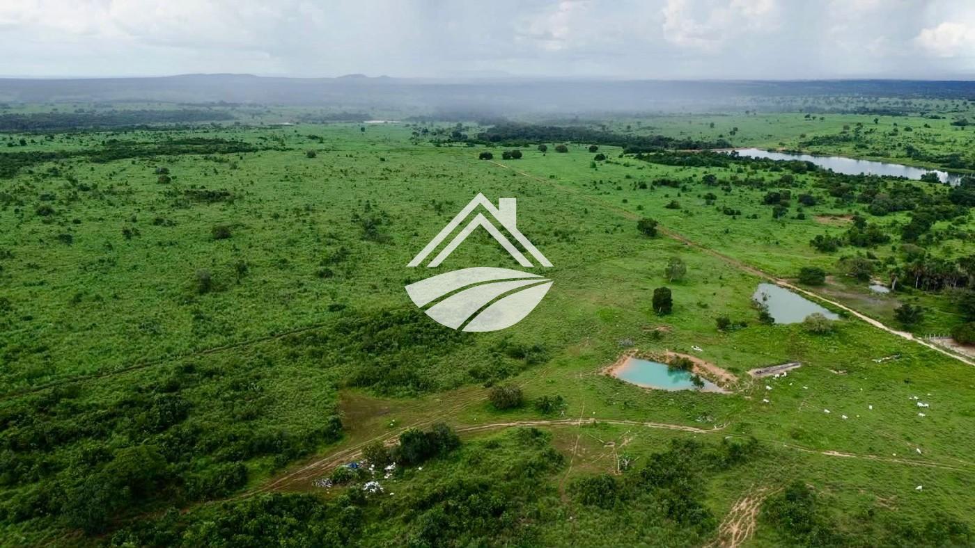 Fazenda, 1316 m² - Foto 5