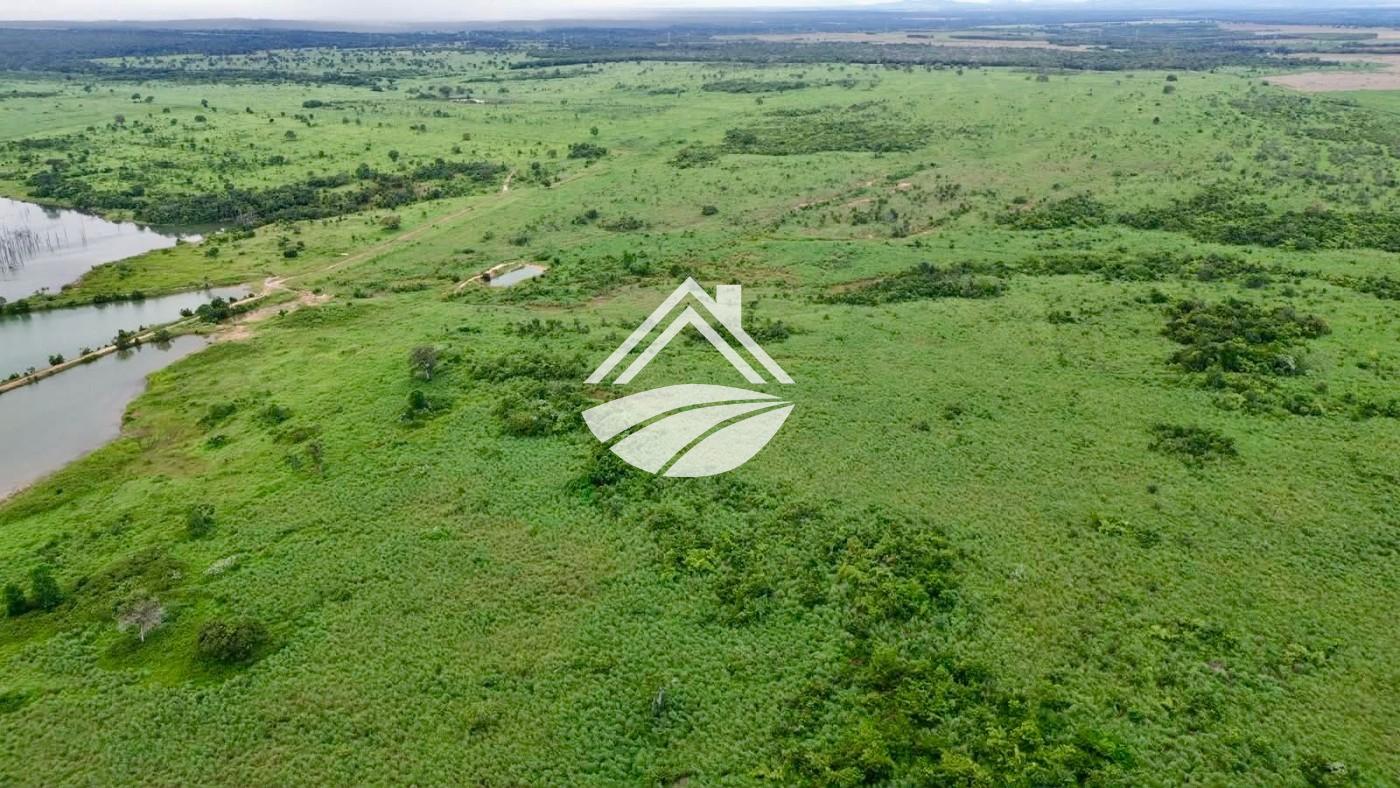 Fazenda, 1316 m² - Foto 7
