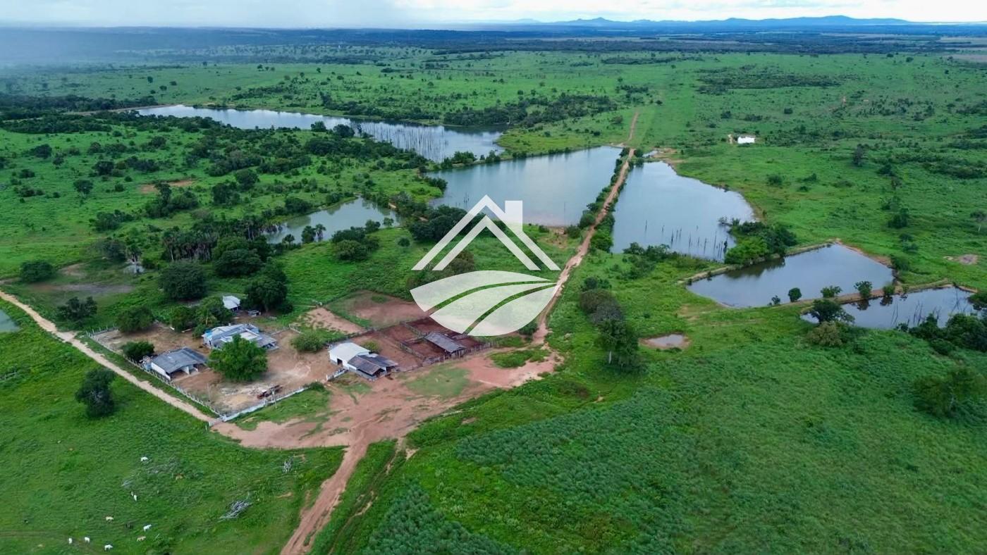 Fazenda, 1316 m² - Foto 8