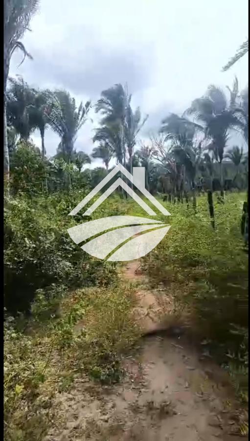 Fazenda, 900 m² - Foto 3
