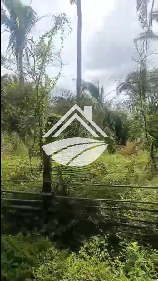 Fazenda, 900 m² - Foto 6