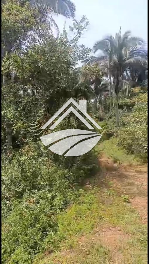 Fazenda, 900 m² - Foto 1